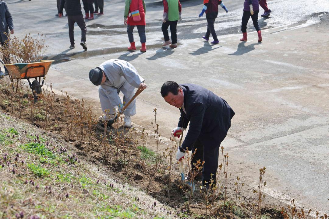 '2024년 안성맞춤 마을공동체 신장리 마을 꽃밭 가꾸기 행사' 게시글의 사진(12)