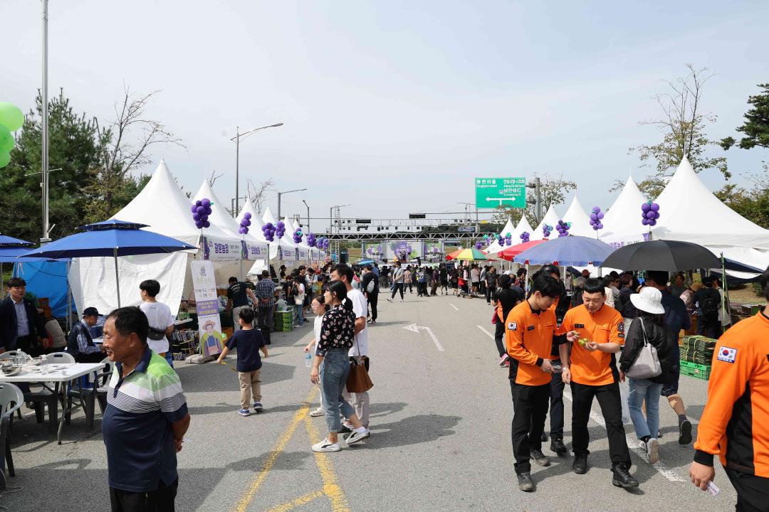 '2023년 제16회 안성맞춤 포도축제' 게시글의 사진(38)