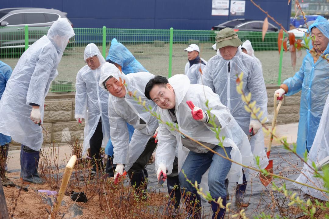 죽산 비봉산 나무심기