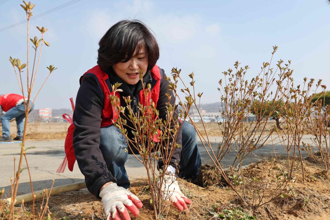 '2024년 안성맞춤 마을공동체 신장리 마을 꽃밭 가꾸기 행사' 게시글의 사진(19)